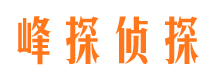 乐至侦探调查公司